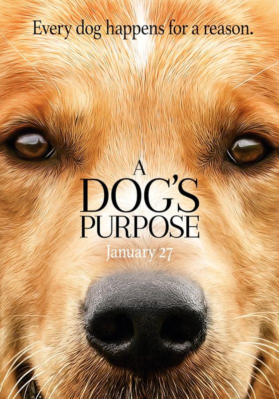 A Dog’s Purpose                หมา เป้าหมาย และเด็กชายของผม                2017